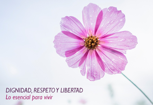 Dignidad personal Dignidad personal